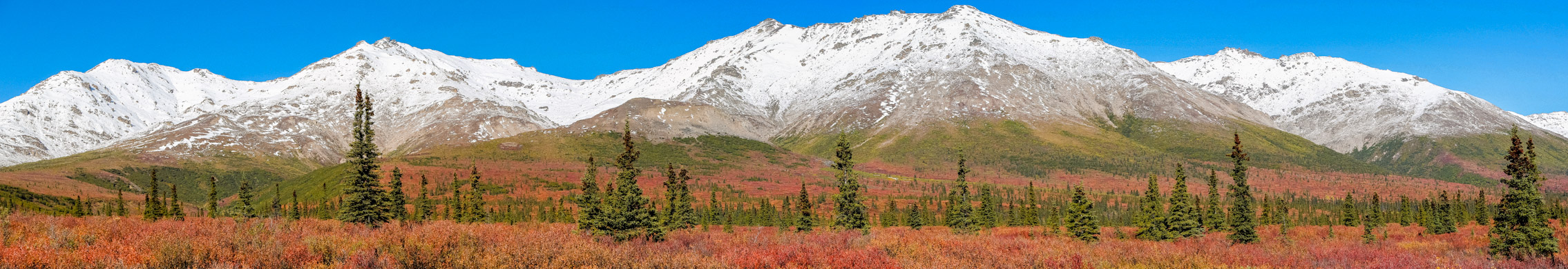 Denali NP001